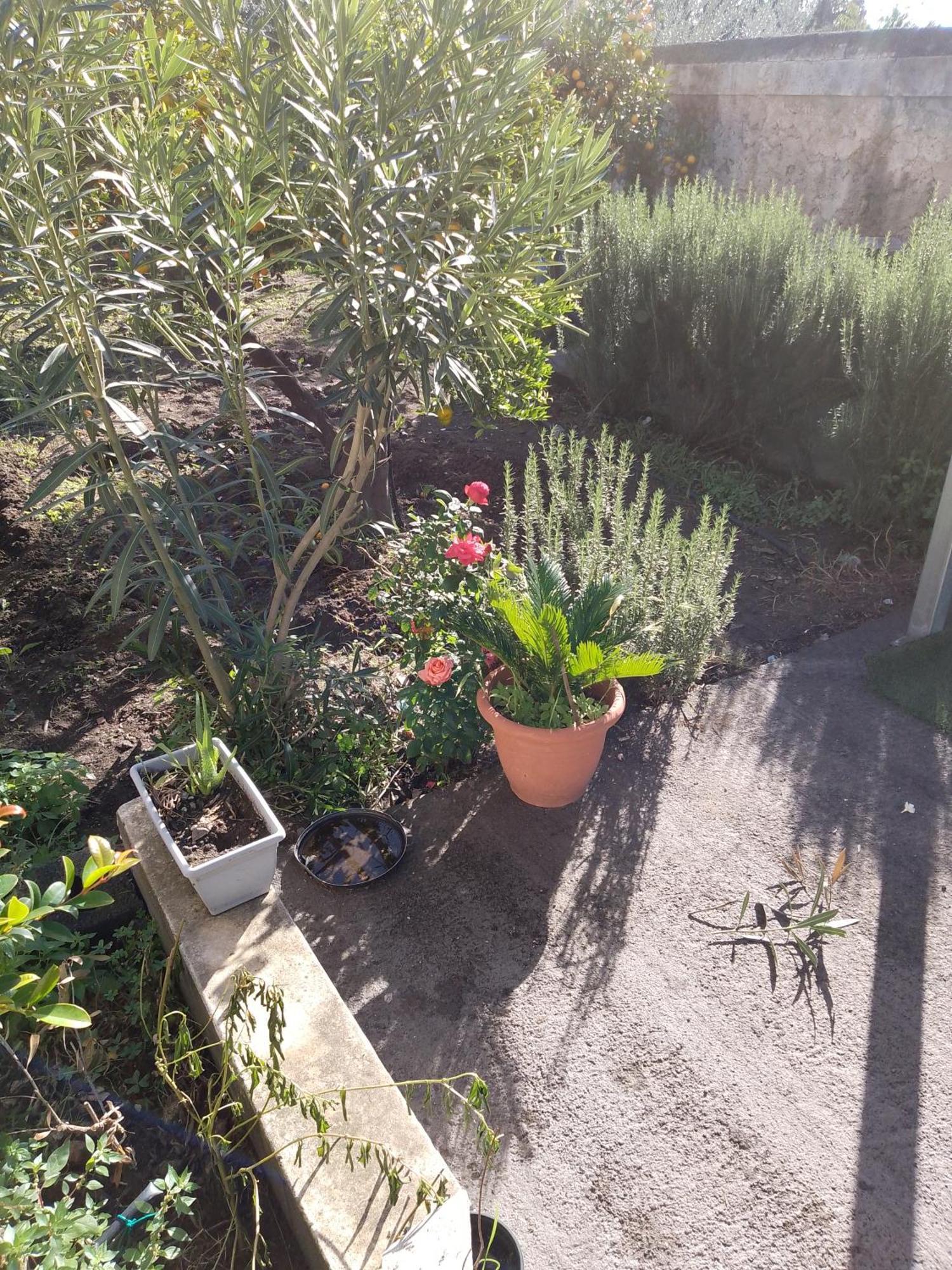 Le Casette Di Nonna Rosa In Fontanarossa Catania Airport Exterior photo