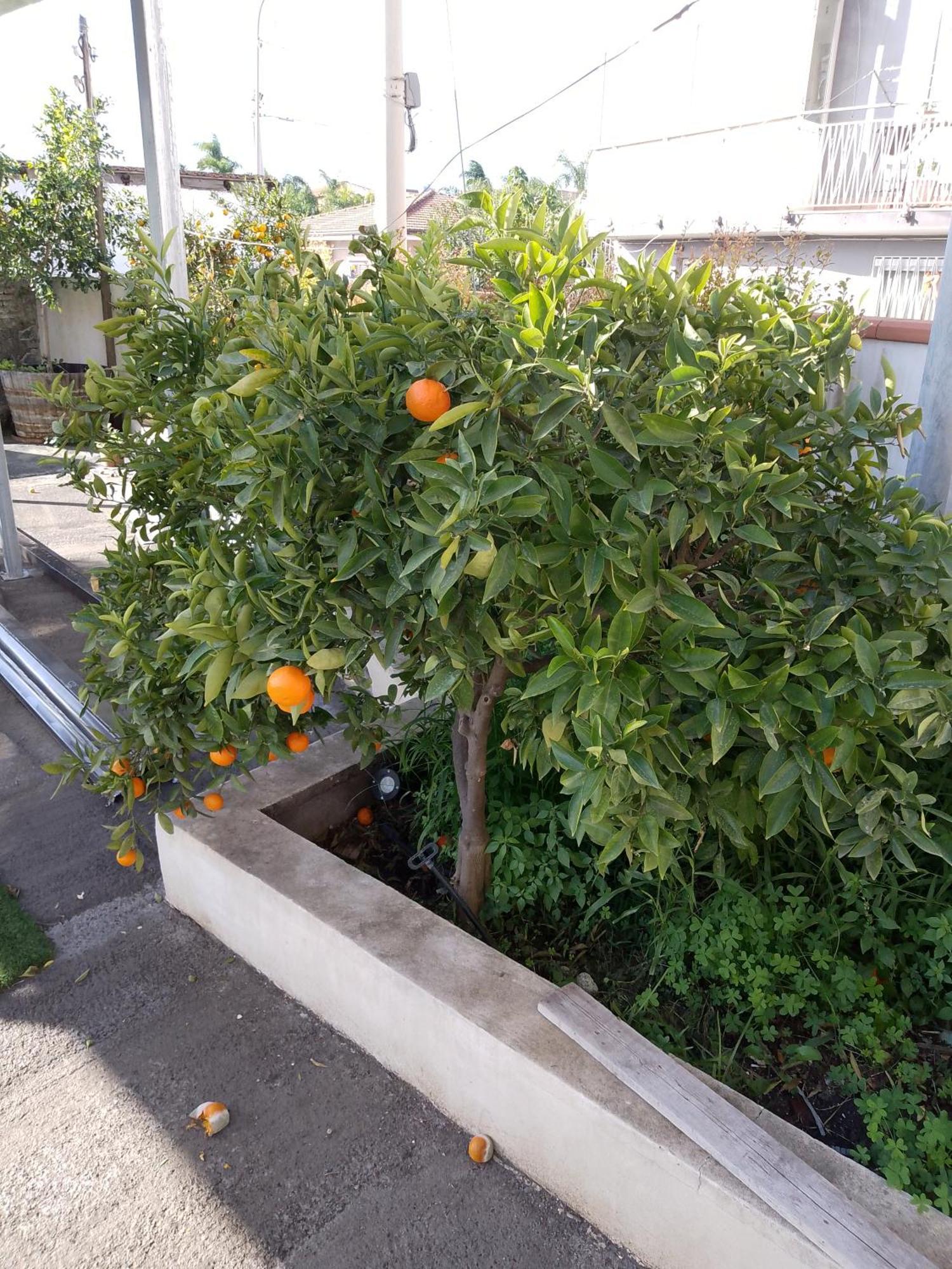 Le Casette Di Nonna Rosa In Fontanarossa Catania Airport Exterior photo
